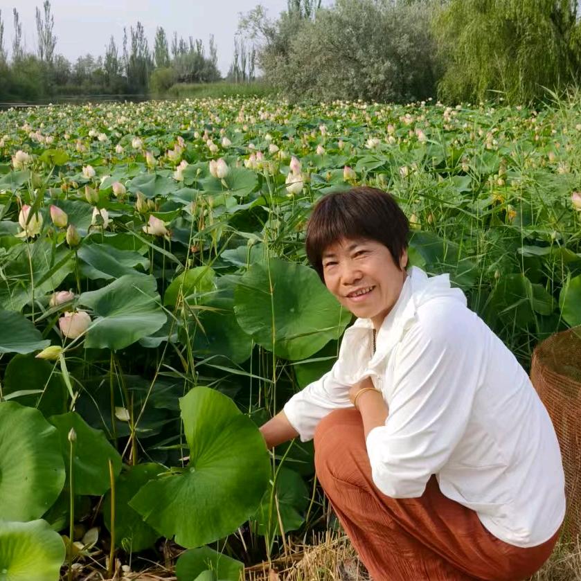 玲姐