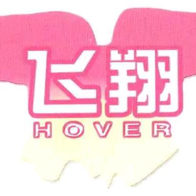 运城市飞翔领航传媒