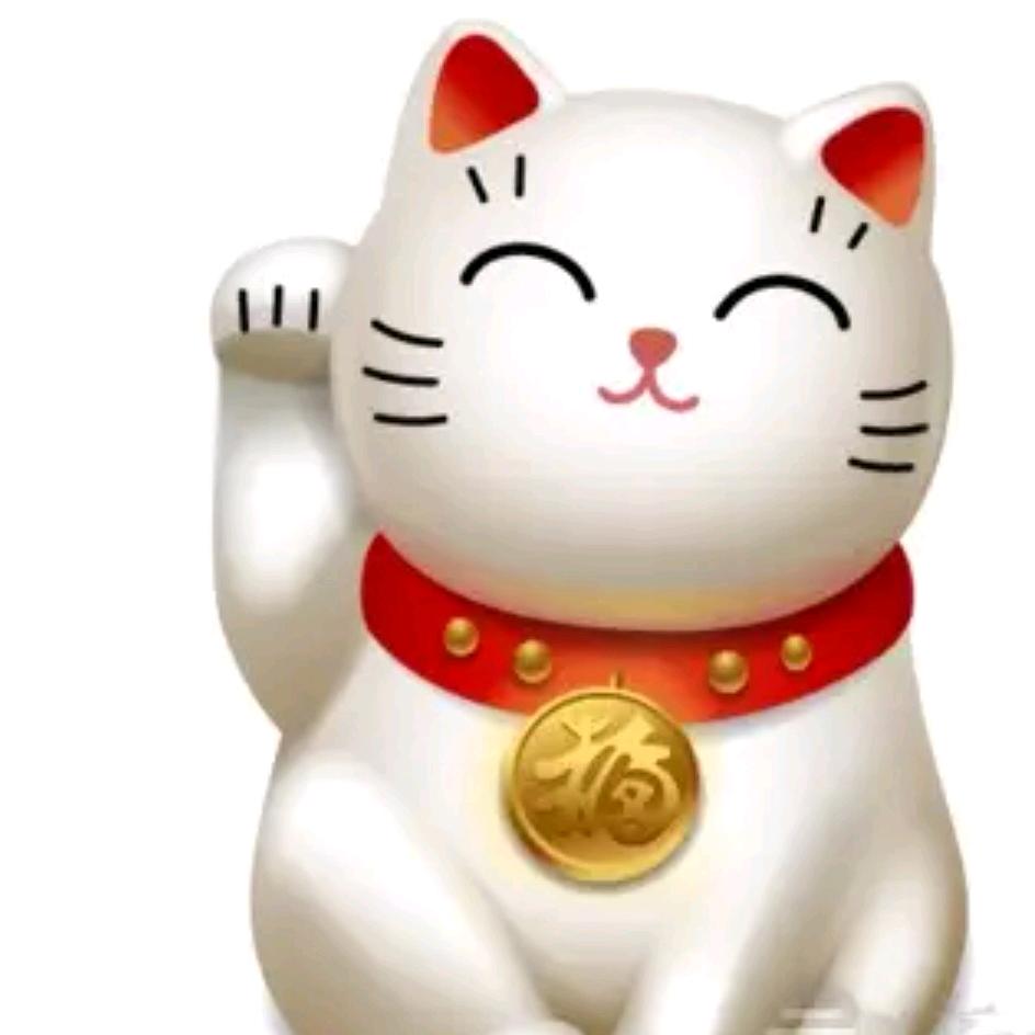 @@@一叶一菩提@@@