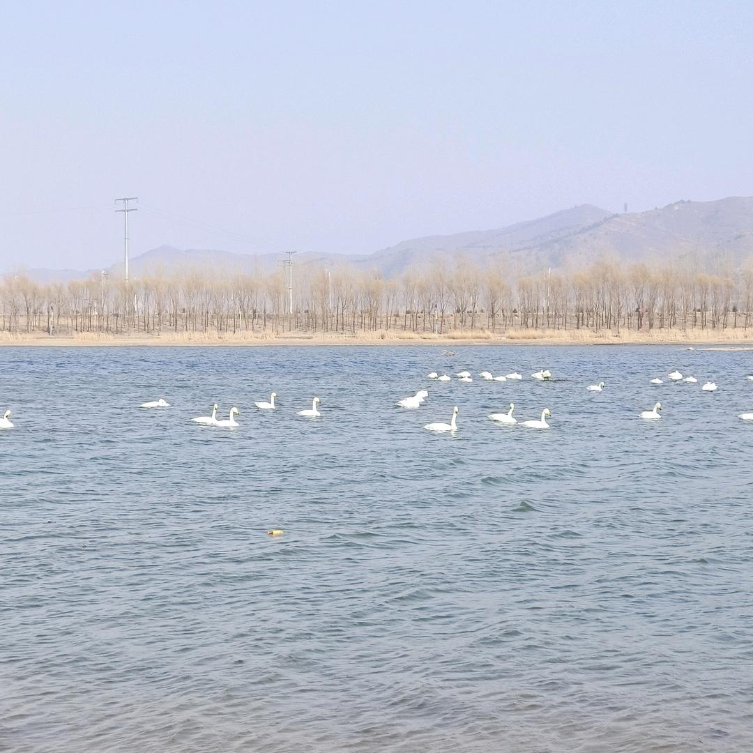 删不掉的回忆是想念