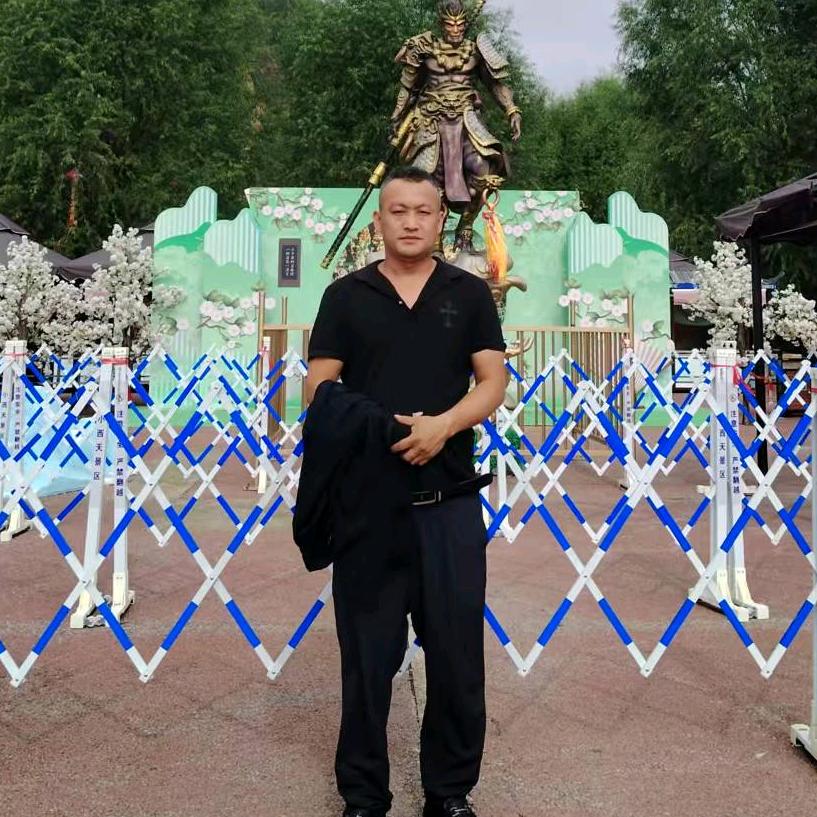 杨仔《龙》