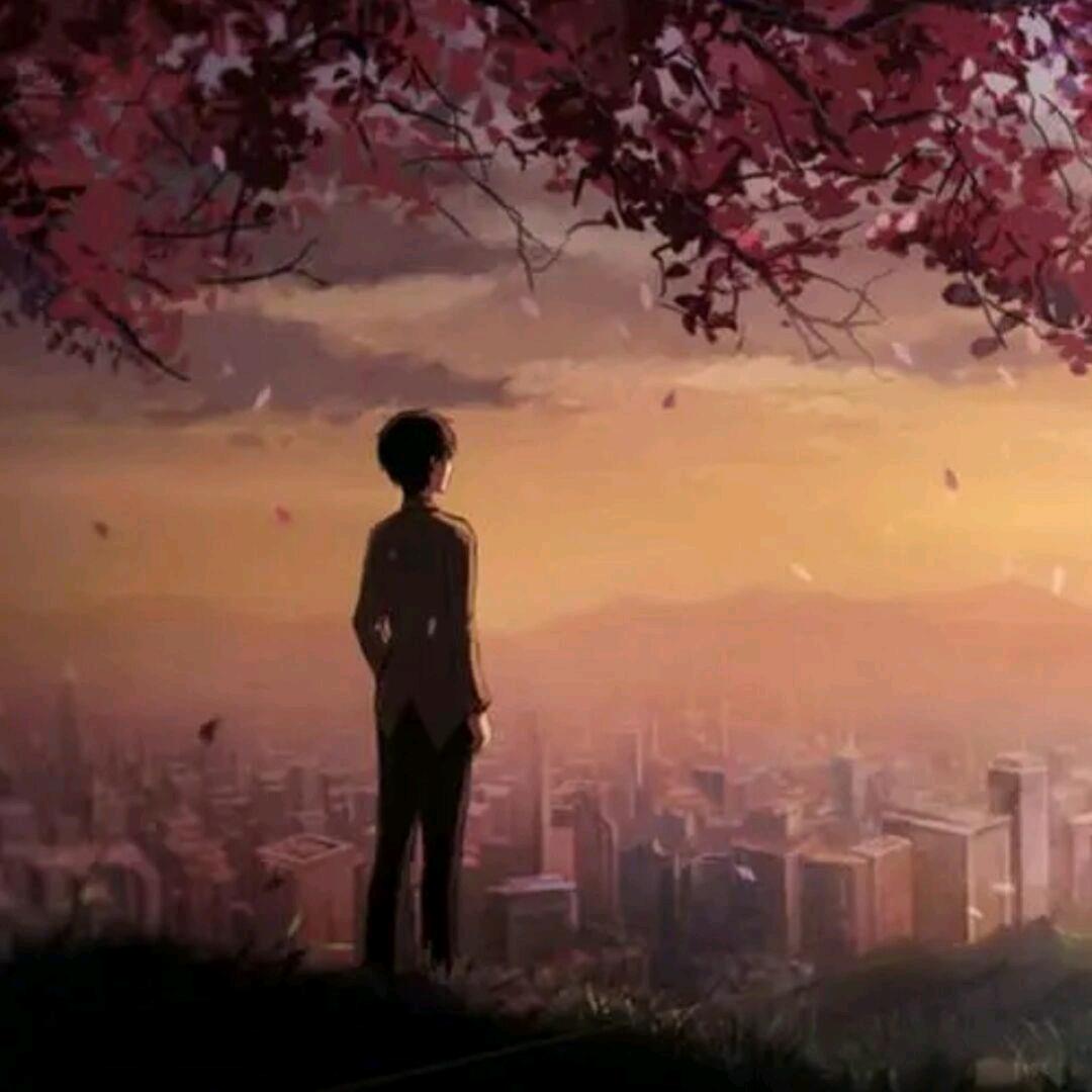 清风e流云(红尘ㄝ练心)