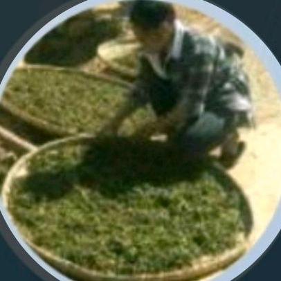 林林🍀