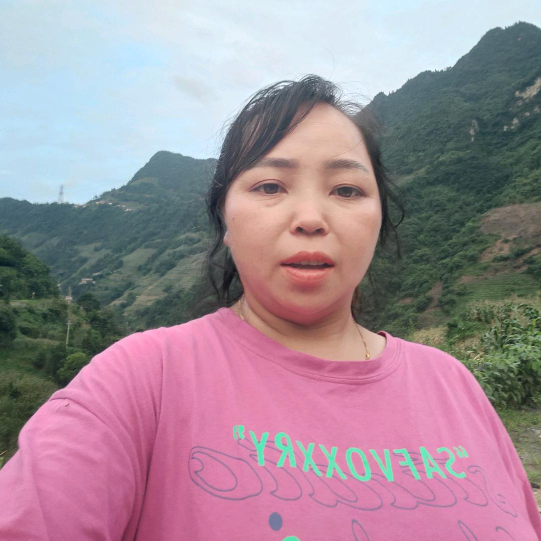 琴妹妹