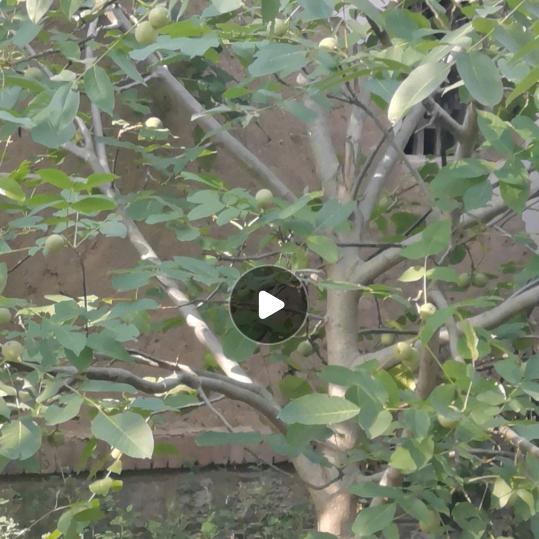 财神🌴🌳🎄偏爱