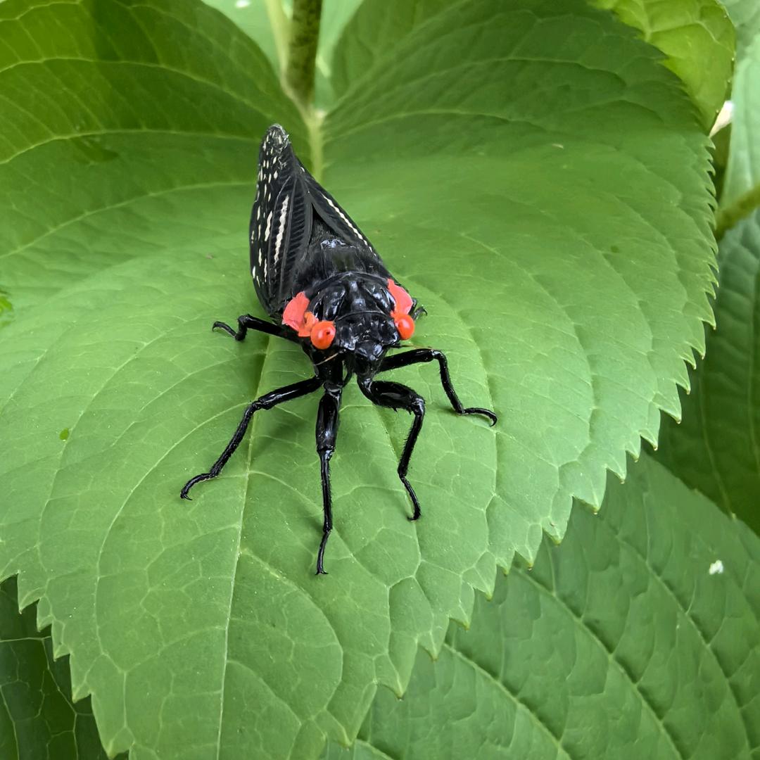 ˚*̥(∗*⁰͈꒨⁰͈)*̥哇哦~