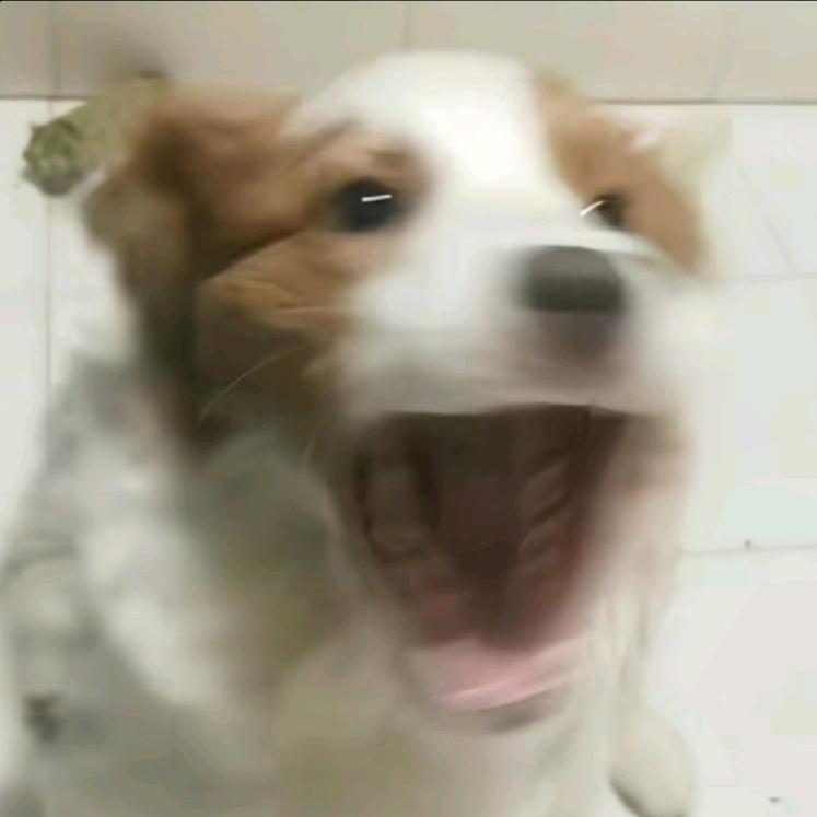 乏味