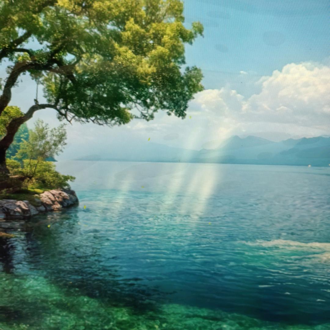 黄梅县水产鱼虾