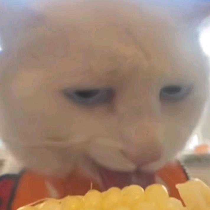 清迦油