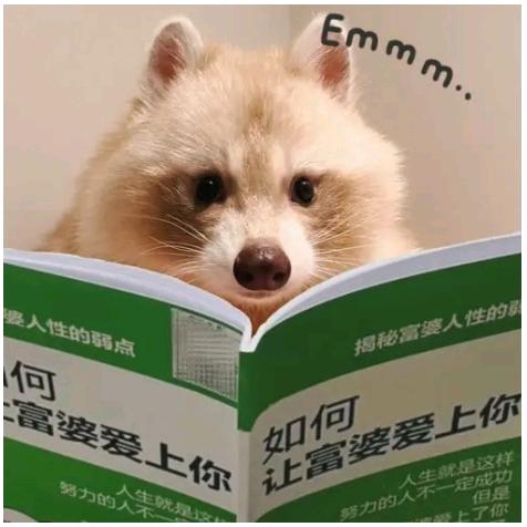 即兴
