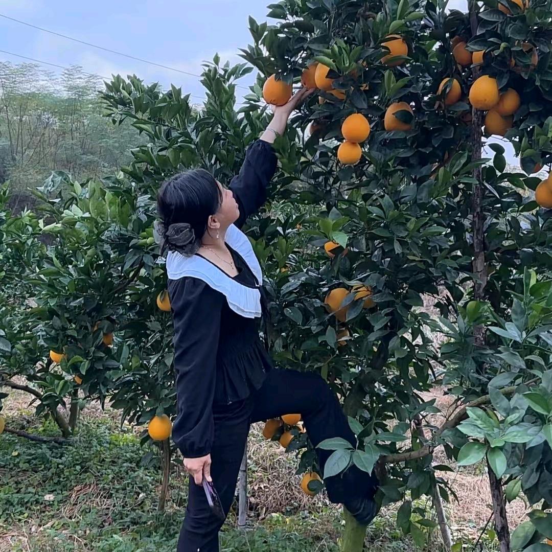 🍊✨🕊️᭄关我脐橙市᭄✨🍊