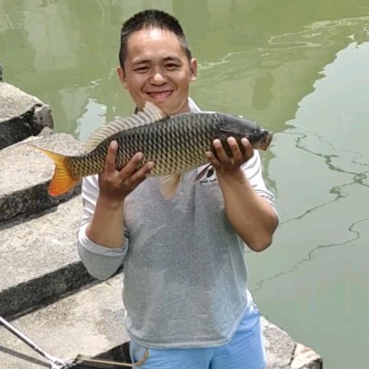 庆明哥