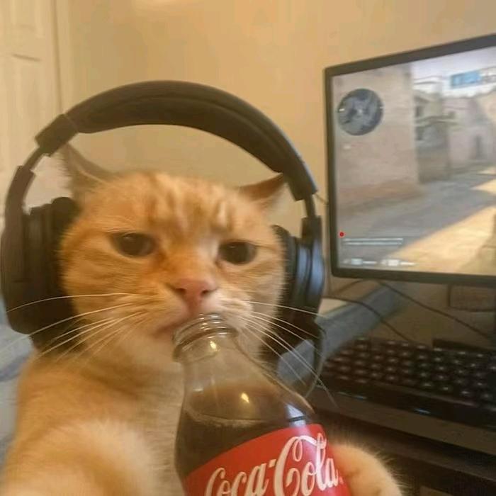 麦旋风严选（不看美女版）