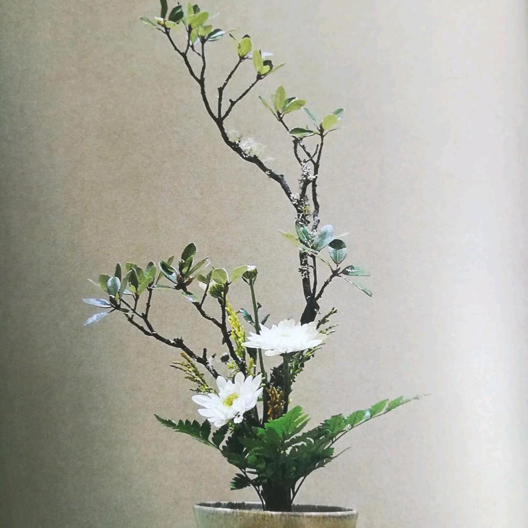 某元