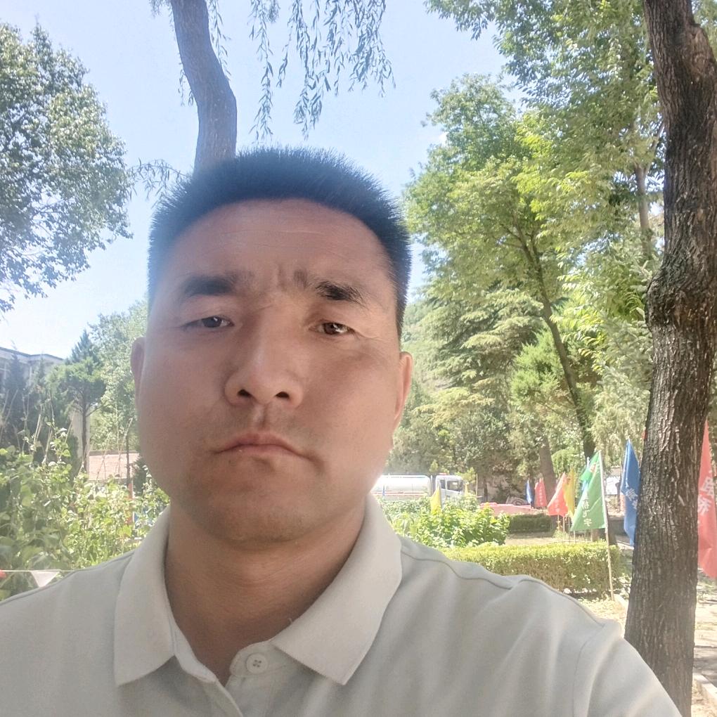 孤独的秋叶