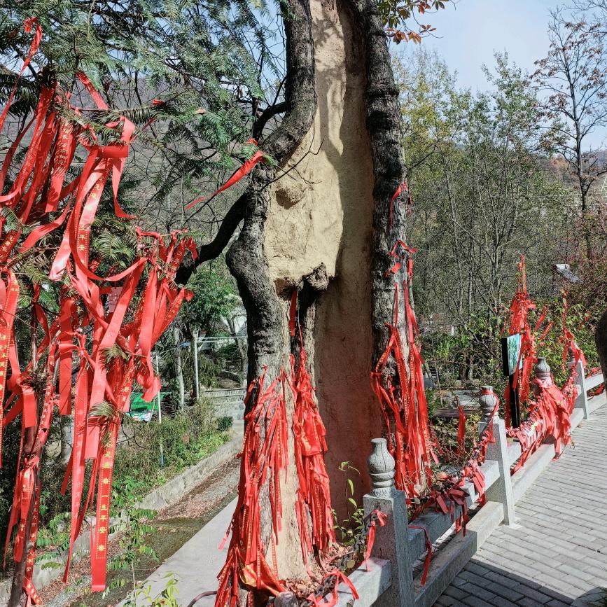 王事随风