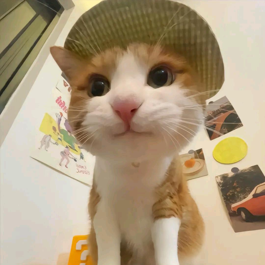 百知