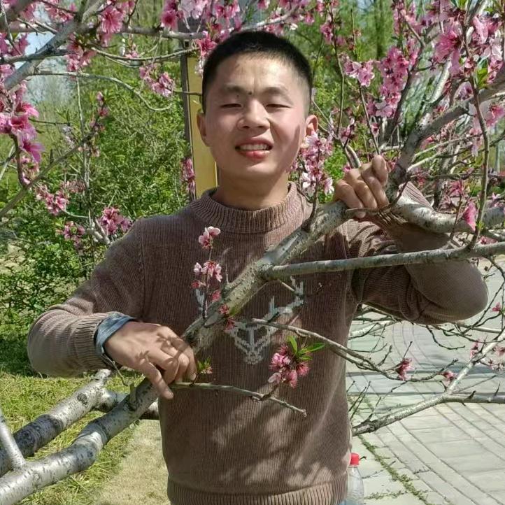 科少