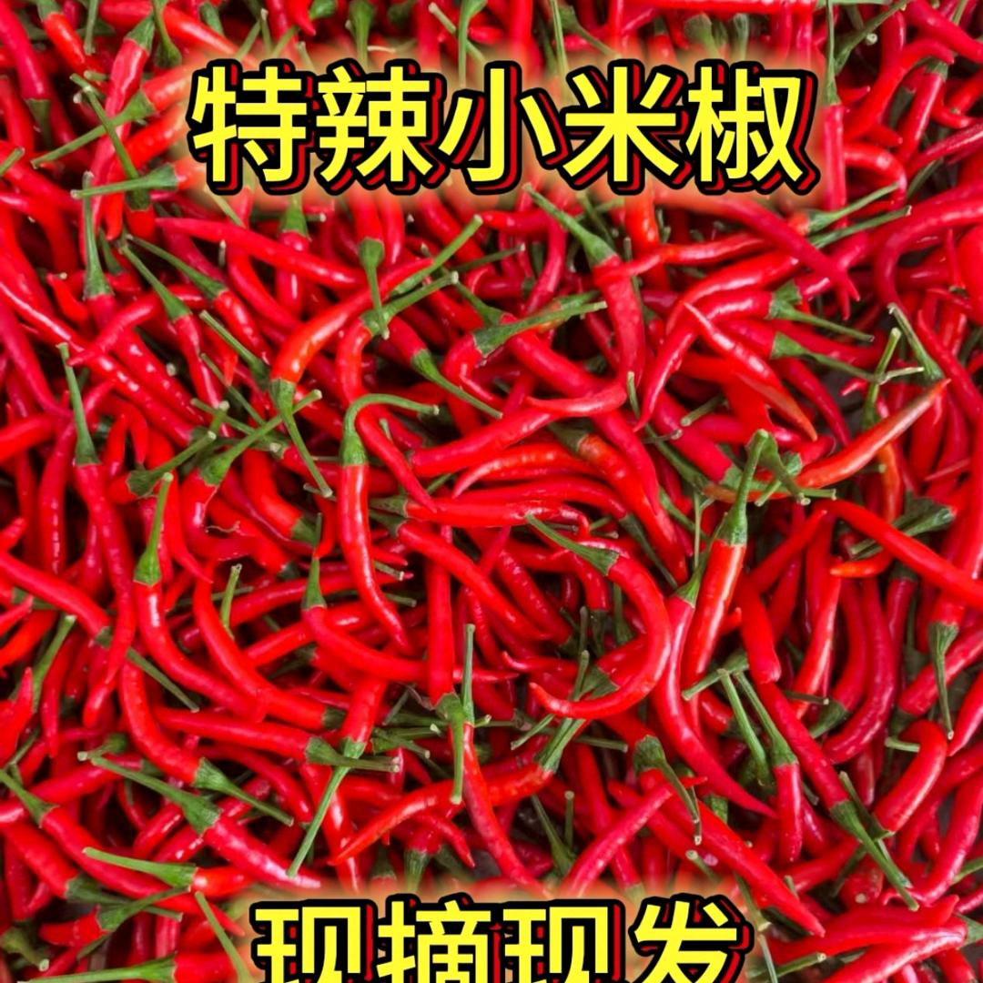 森浩农产品