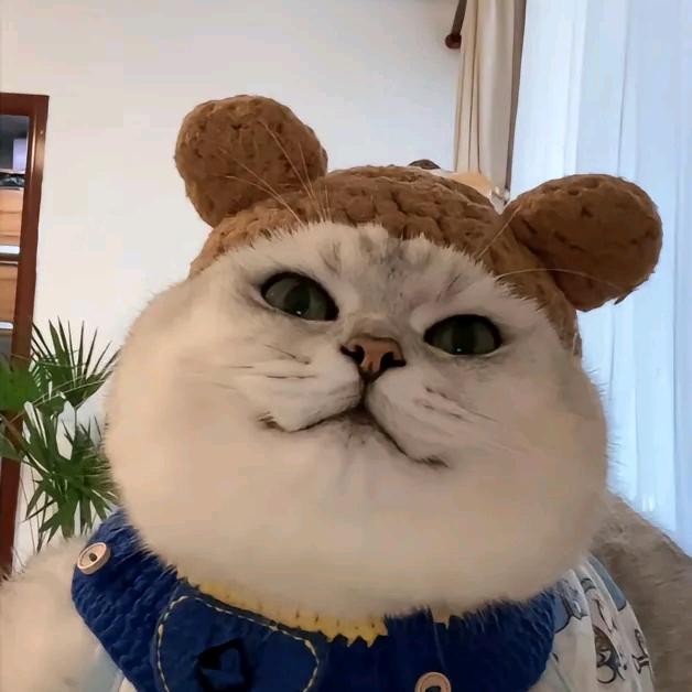 安吉