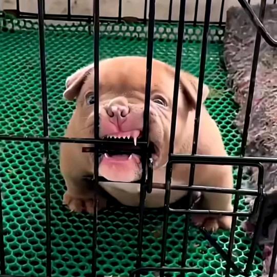 百科知识