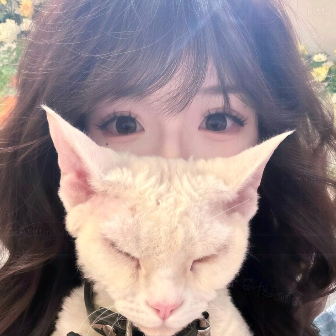 屁屁⭐