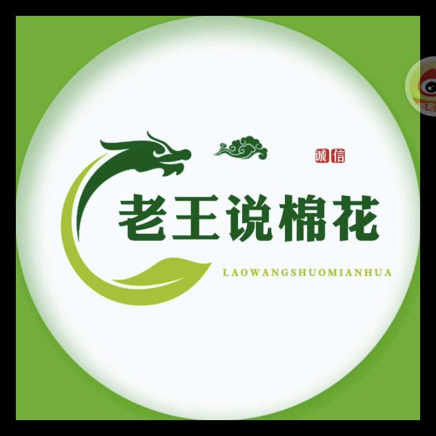 老王说棉花《棉三丰》