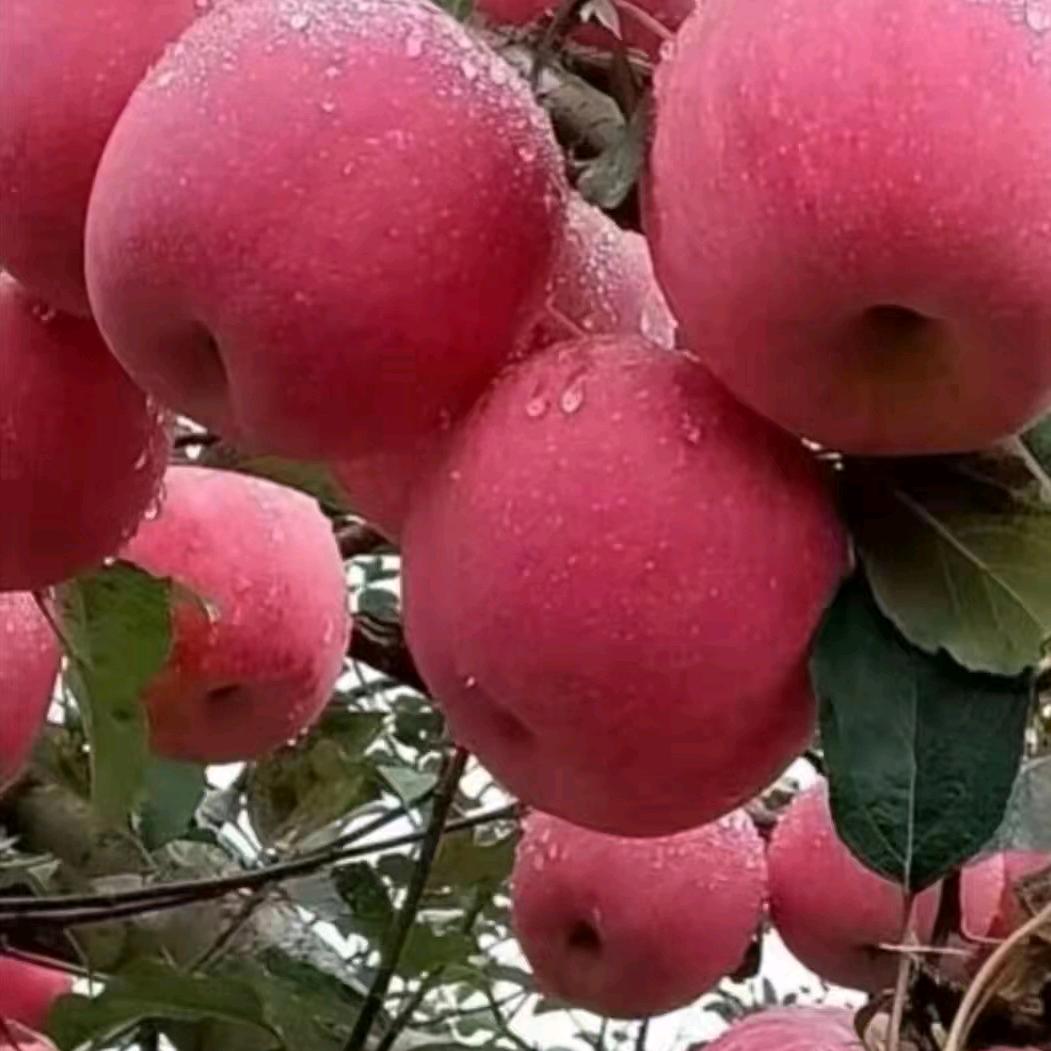 中国梦，我的梦