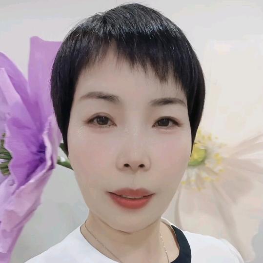 诗琴520