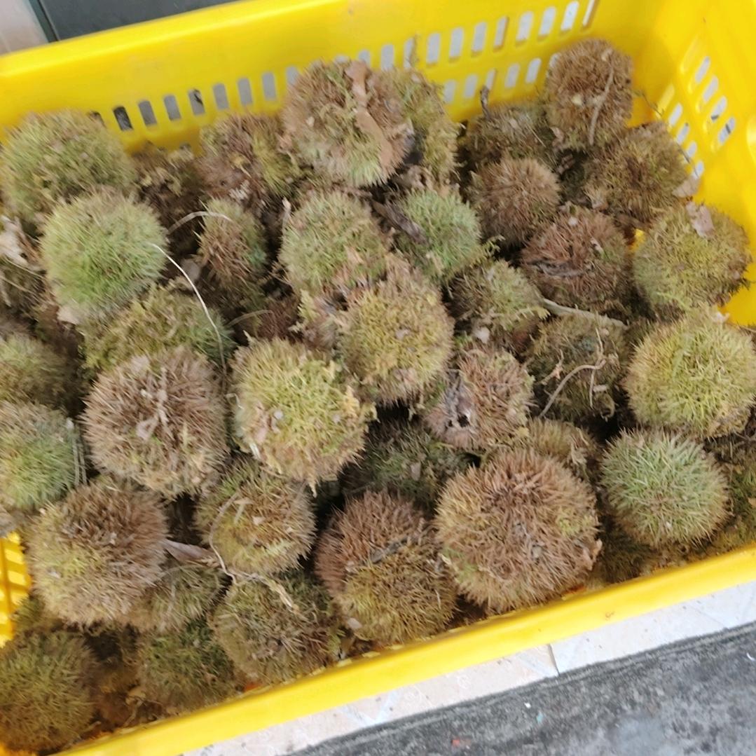 压力