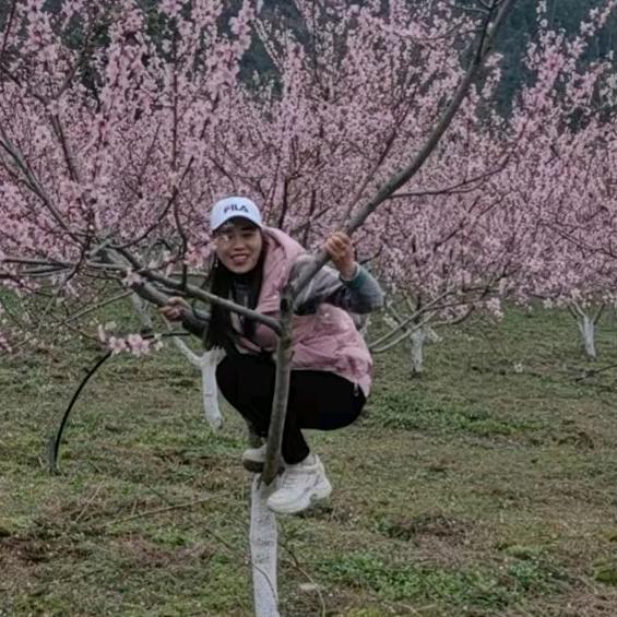 ㅤㅤ💗᭄烦恼💞⃨全吴⁵²⁰