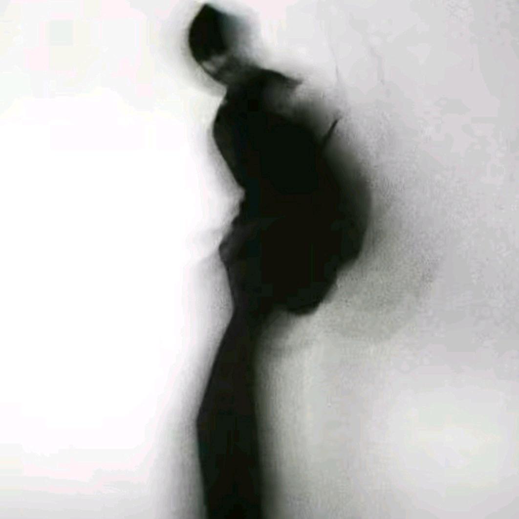蒲公英的飞