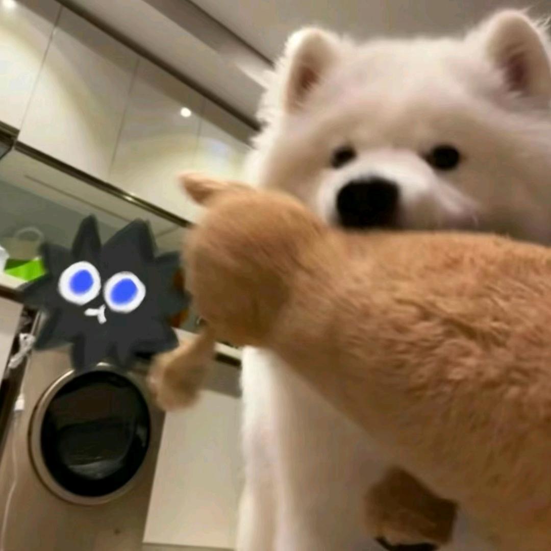H.达