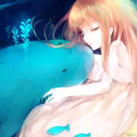 海豚追剧