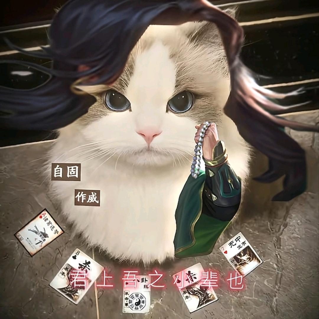 哈基綝