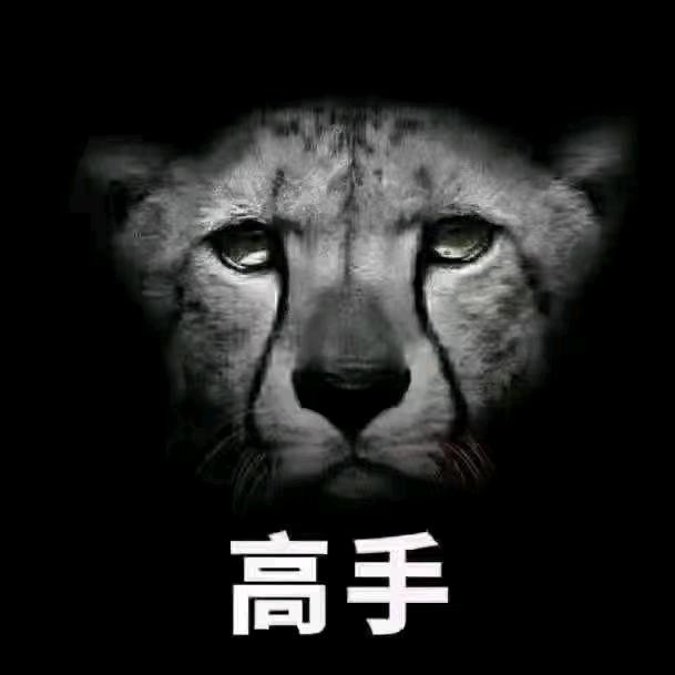 宇哥叨叨叨