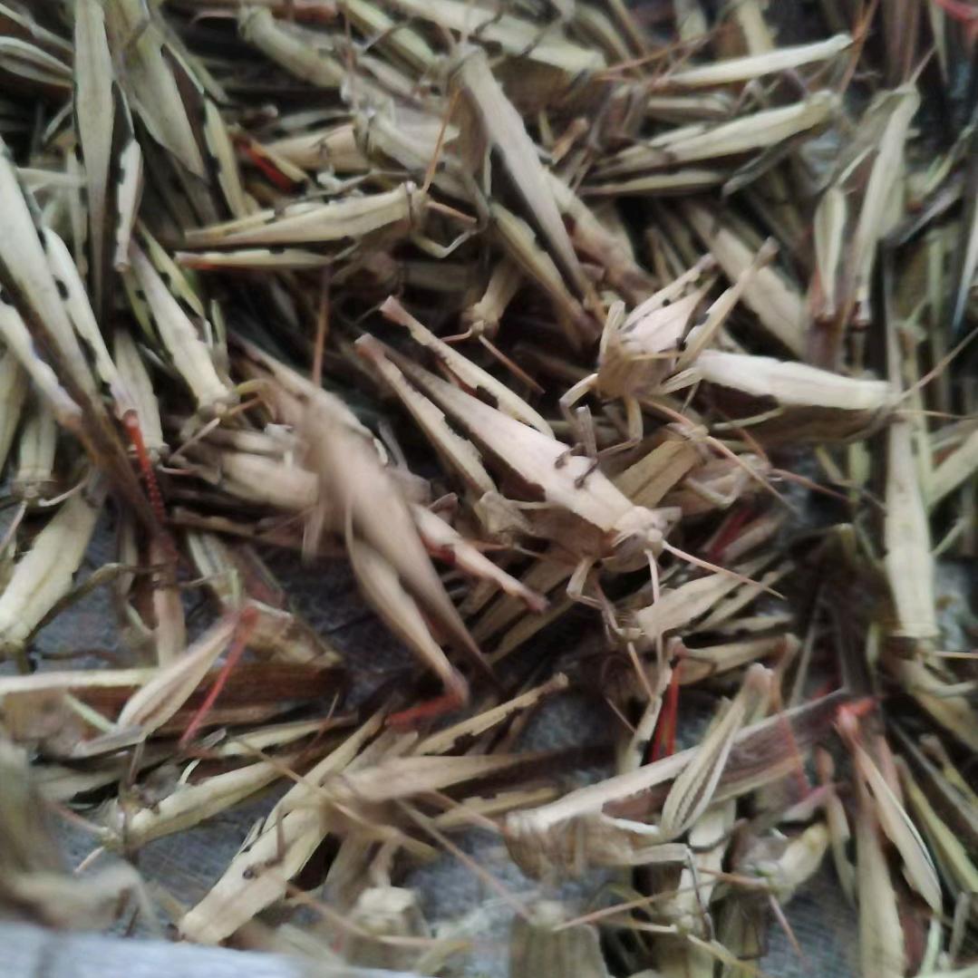 生下来，活下去