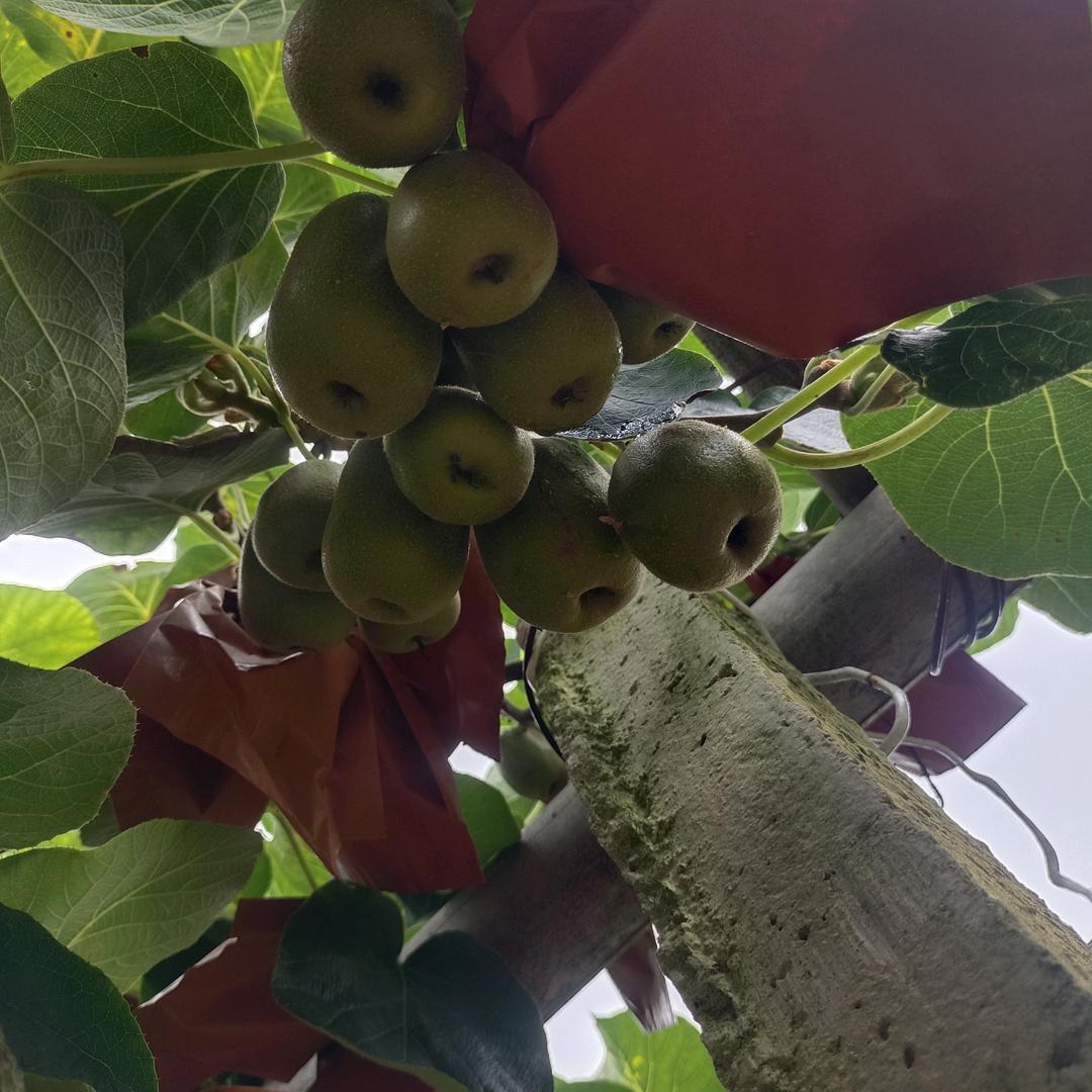 一缕阳光