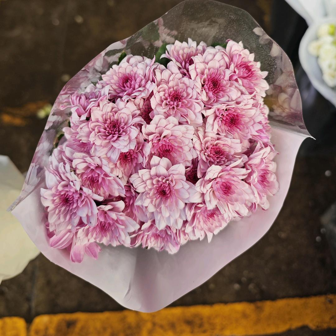 南笙鲜花