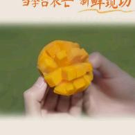 醉舞今生