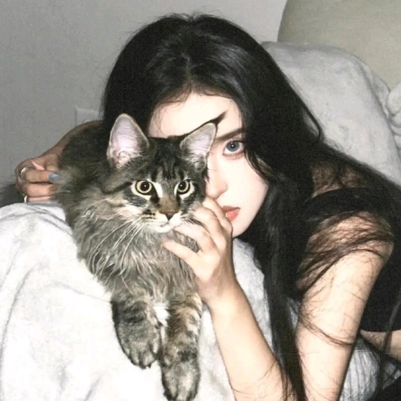 雾里🍂寻星🍀