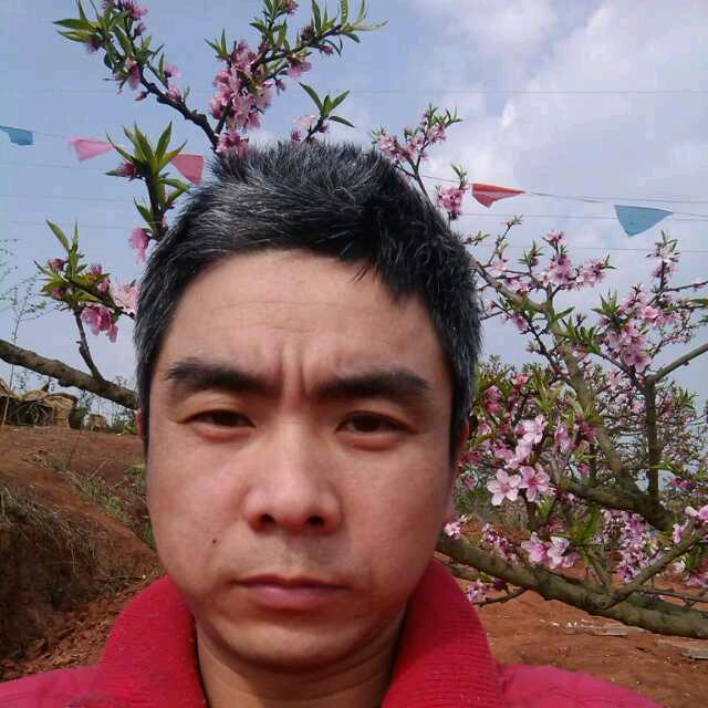 小唐