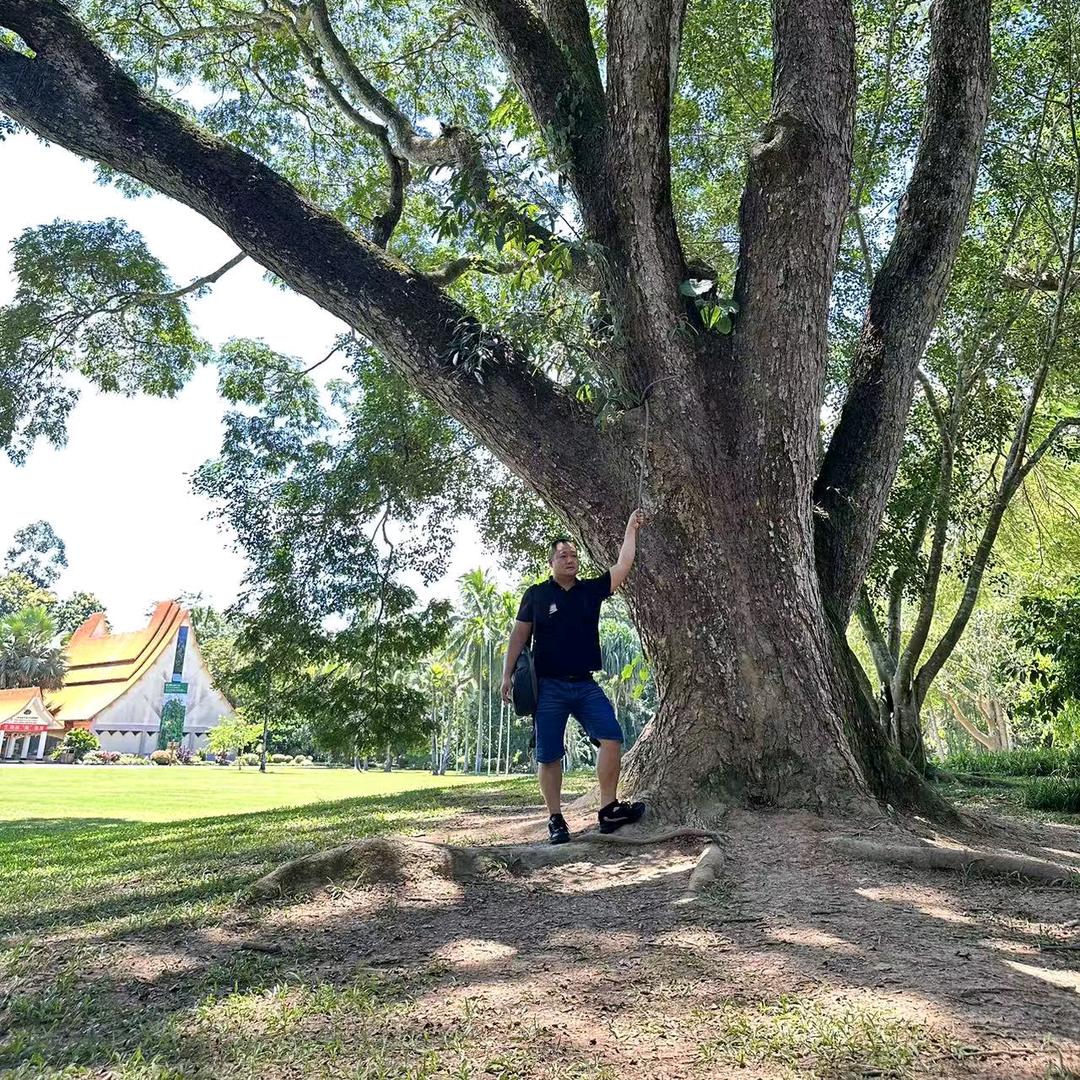 滁州铲墙，老杰的。