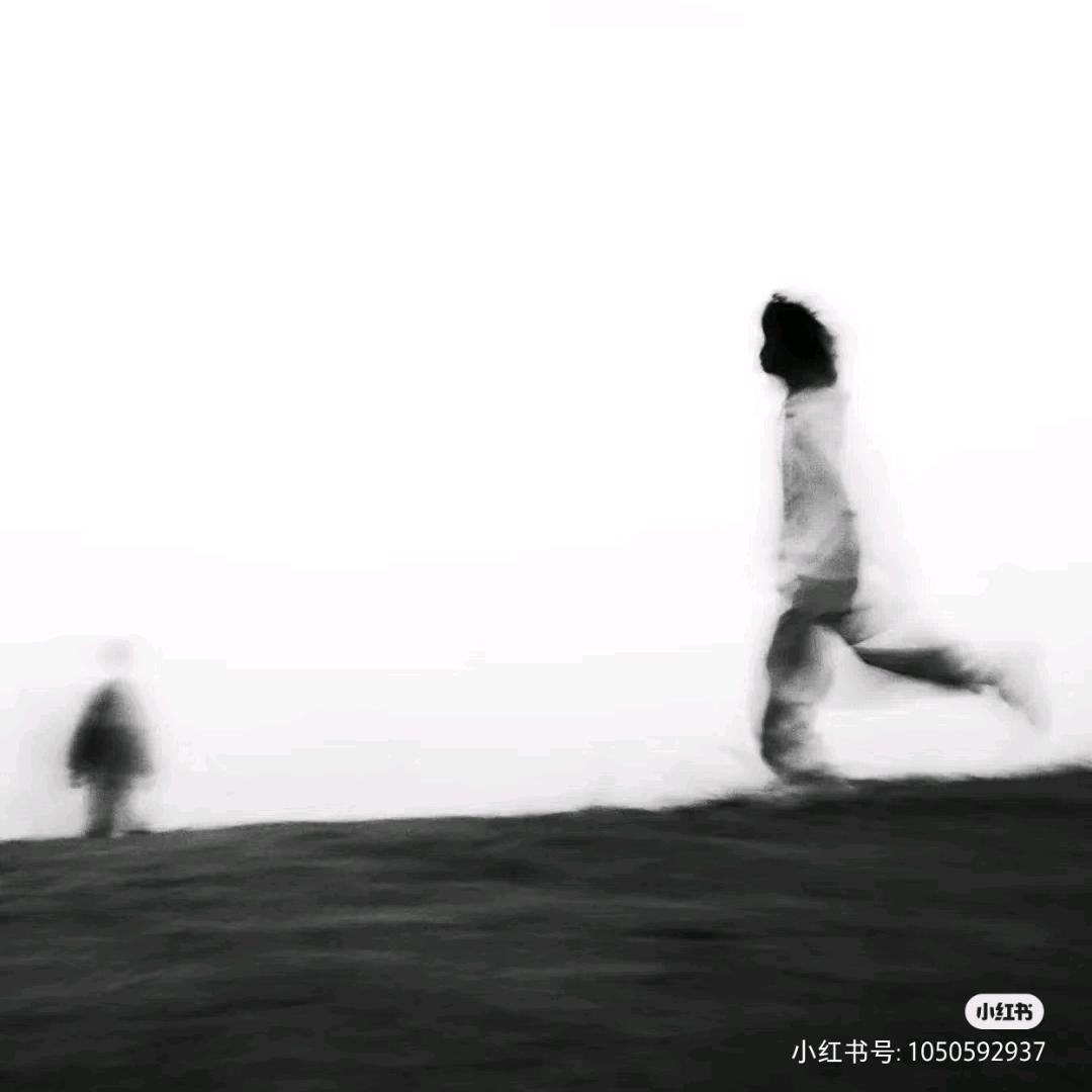 叒木