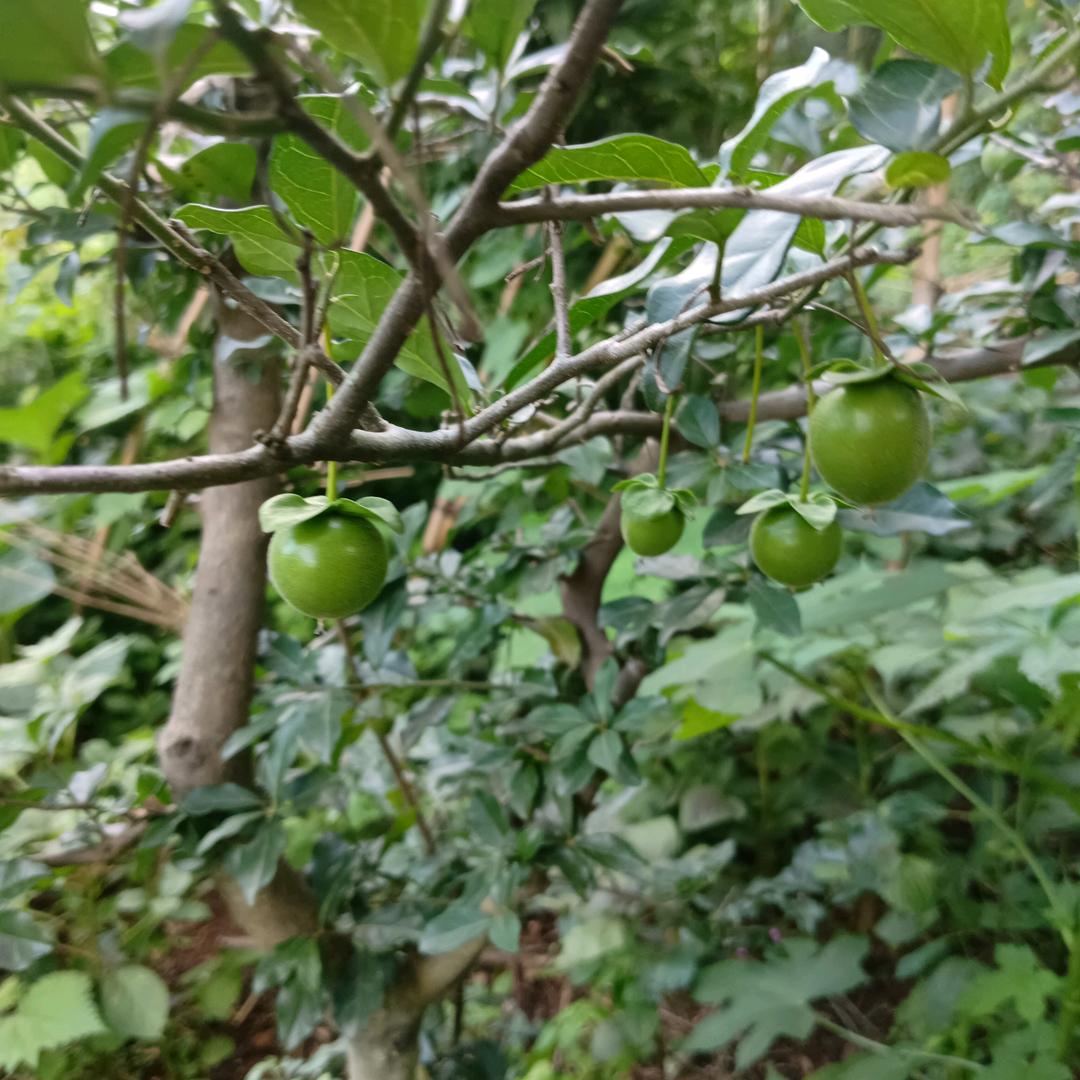 随遇而安，快乐每一天