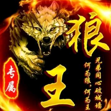 🔥⭐️⚡️狼叔🔥⭐️⚡️