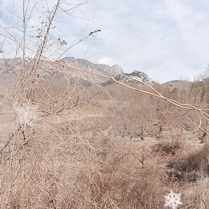 明亮人生