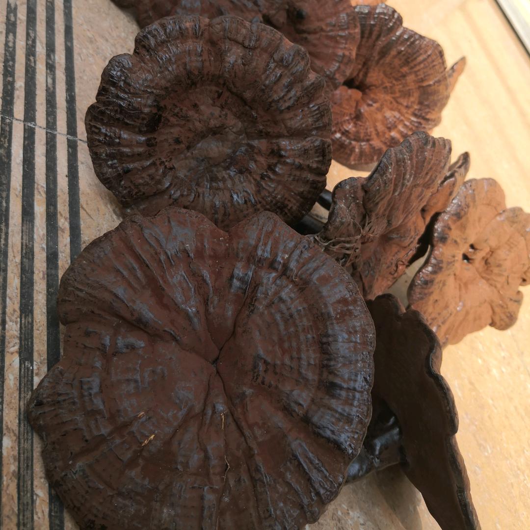 广西金秀瑶家土特产