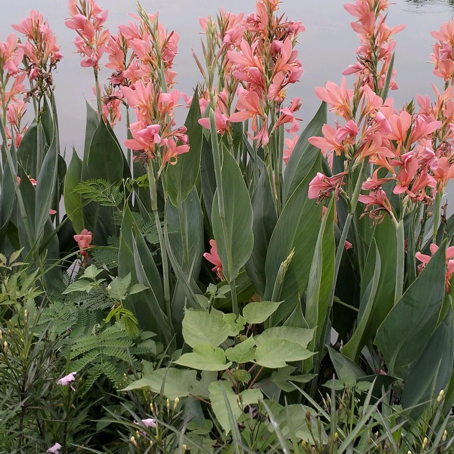 每天开心🌈🌈🔥🌹