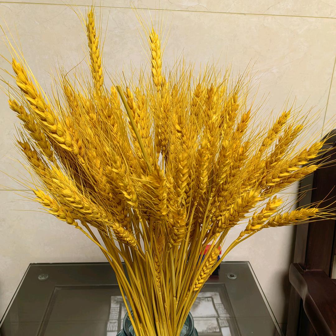 大丰收